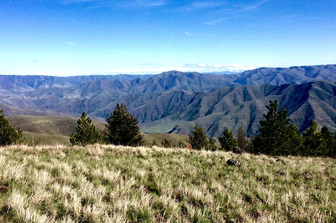 Puffer Butte by Melanie Harding.jpeg
