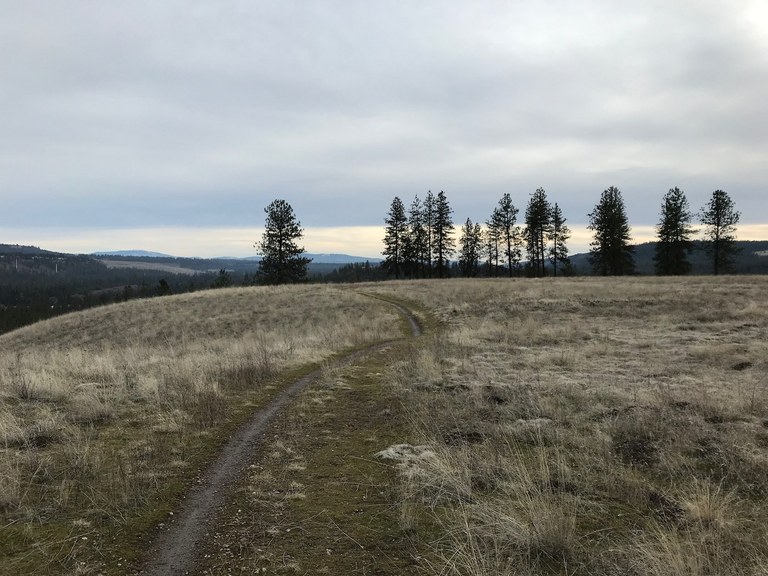 A curving section of trail drops over a hill. Photo by California Girl. 