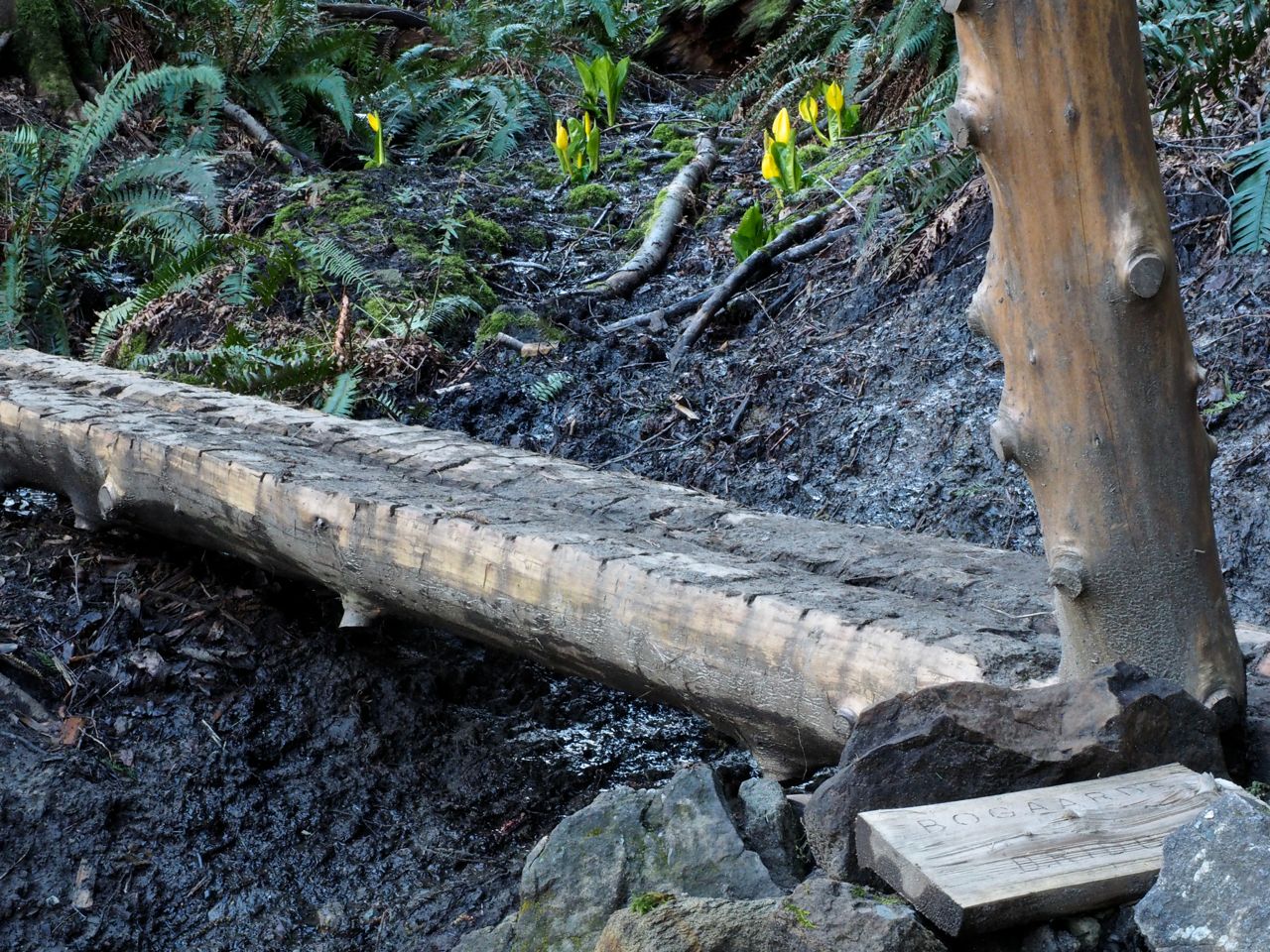 Bogaards Bridge with sign on the Rock Trail in Larrabee State Park. Photo by Bob and Barb.