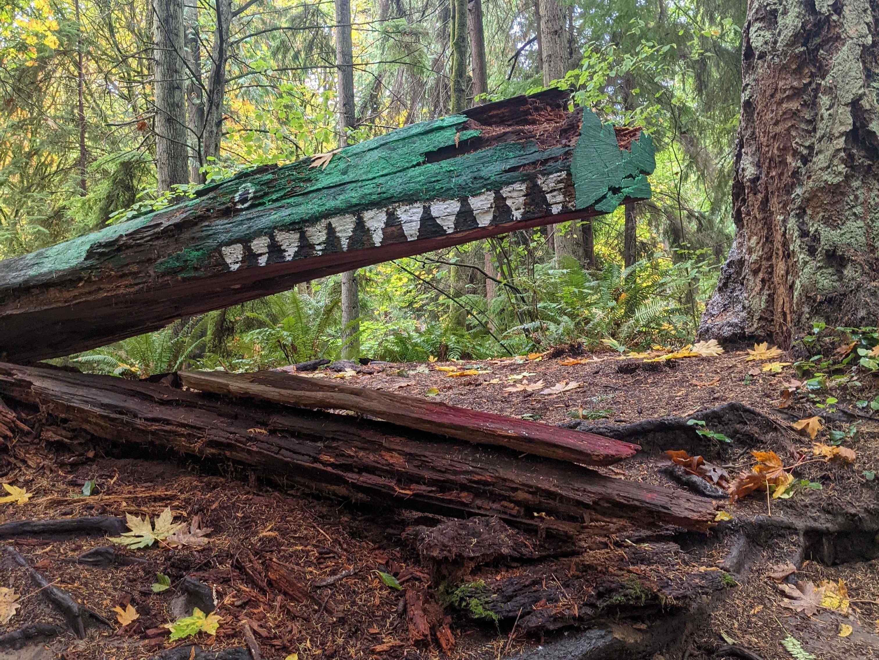 Alligator made from a split fallen tree at Schmitz Preserve Park. Photo by Tiffany Chou.