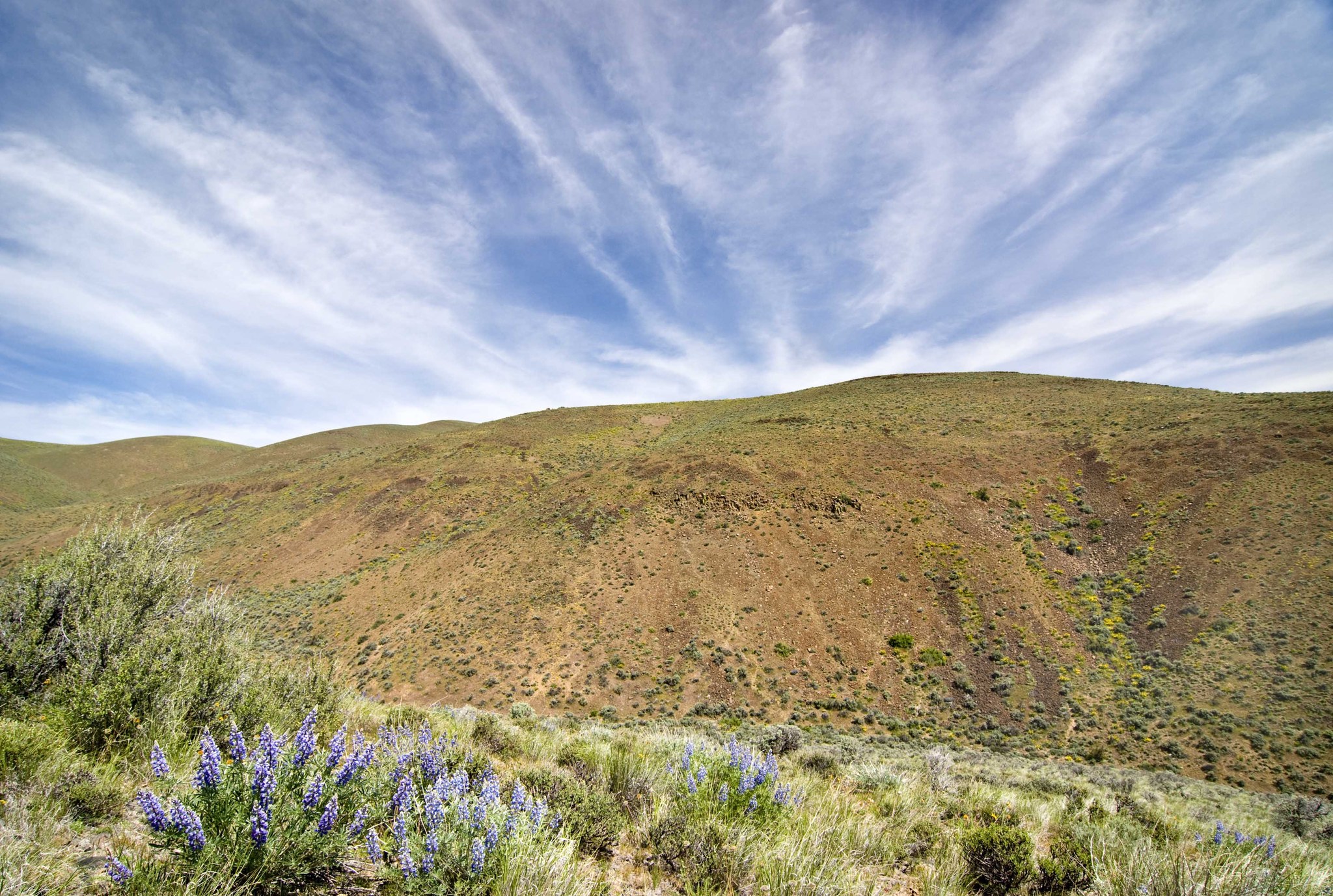 Whiskey Dick Ridge by David Hagen.jpeg