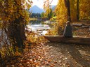 WTA's Favorite Hikes Close to Home