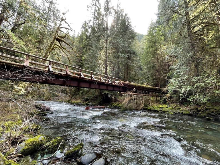 Bridge crossing the Gray Wolf River A large wood bridge crosses a rushing river under a gray sky