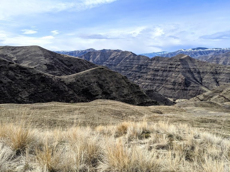 This corner of Washington is great for wildflowers and game-spotting. Photo by trip reporter thelostbotanist Mountain ridges and grassy bluffs near Idaho and Oregon.