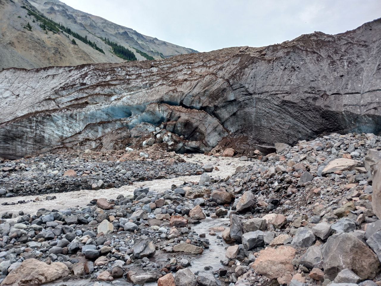 An up close view of a glacier, riddled with sediment.
