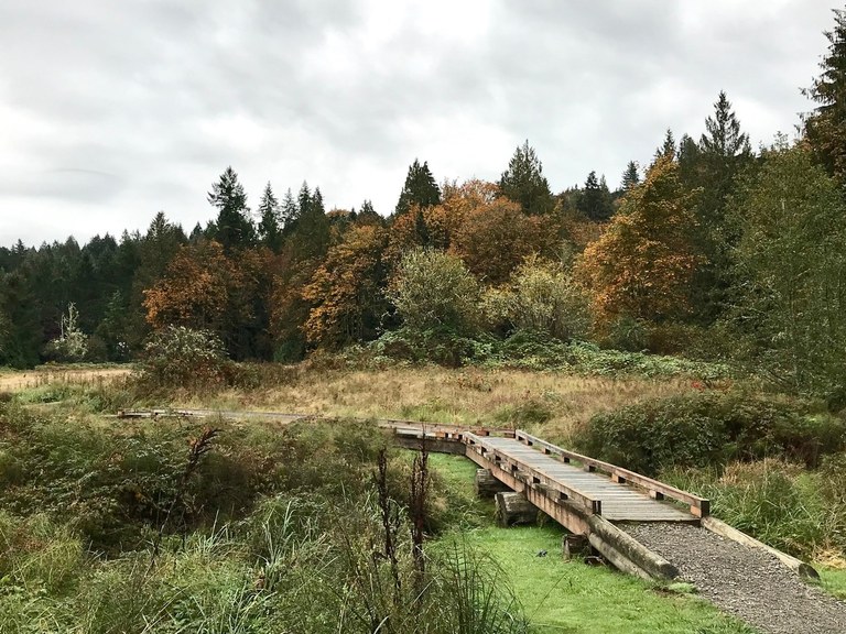 a boardwalk through the gorgeous Evans Creek Preserve 