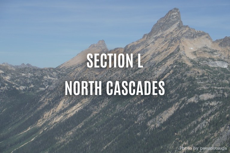 north-cascades-psuedotsuga.jpg north-cascades-psuedotsuga.jpg