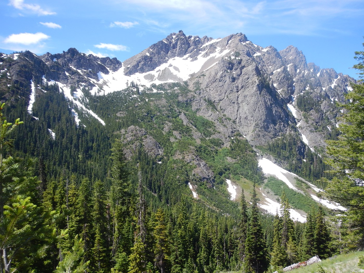 alpine peak capped in snow through forest view.