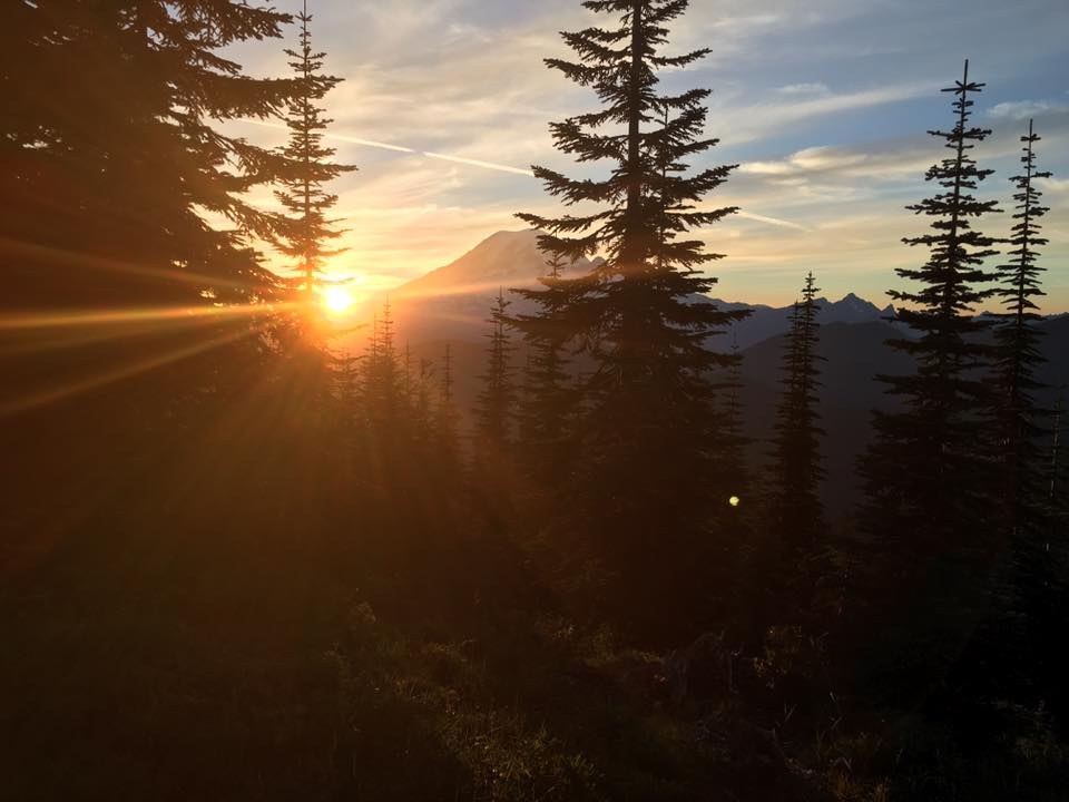 Sunset through trees with mountain in distance.