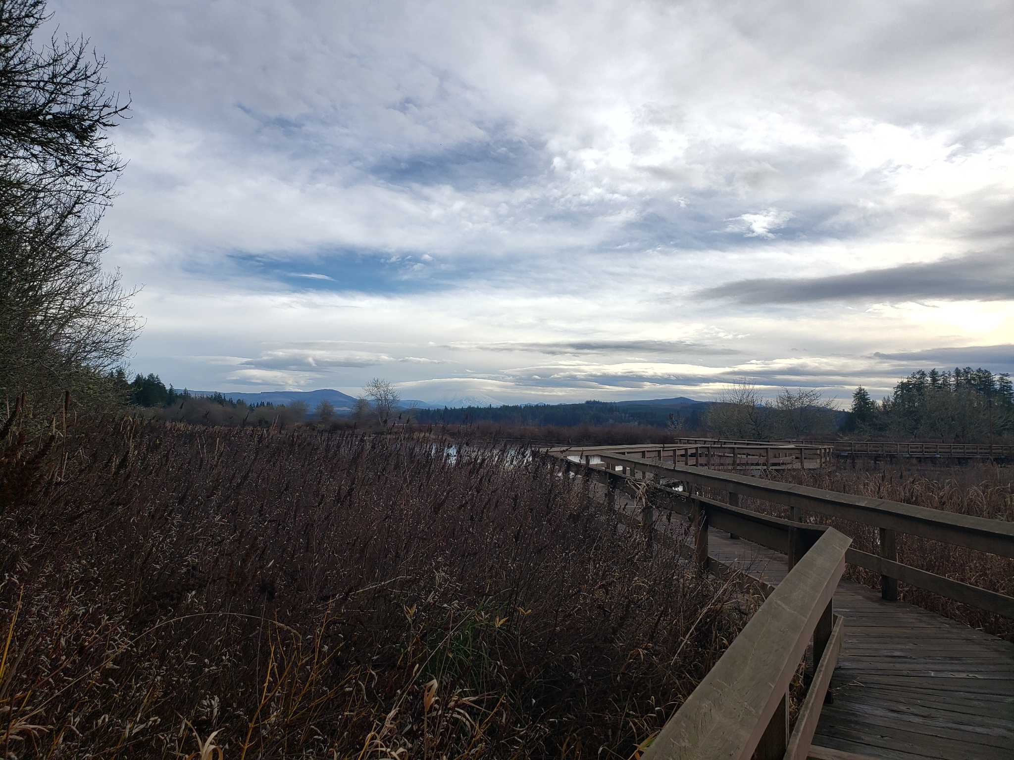 A boardwalk on a gloomy day at Seaquest State Park. Photo by nwroth.