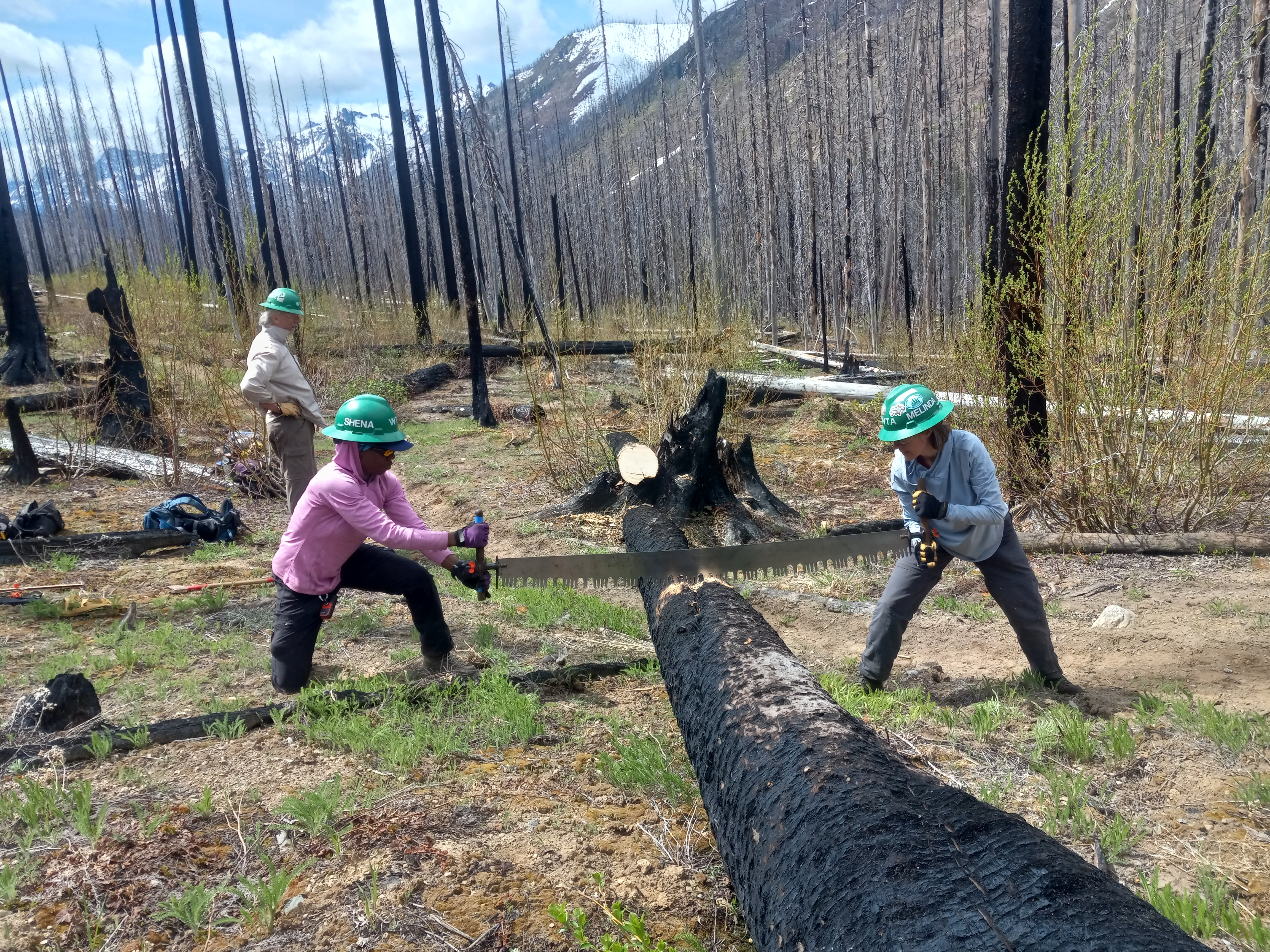 Two people cut a large log that sits on the ground. They're using a crosscut saw, and behind them is a nice view of steep mountains, dead trees and blue sky