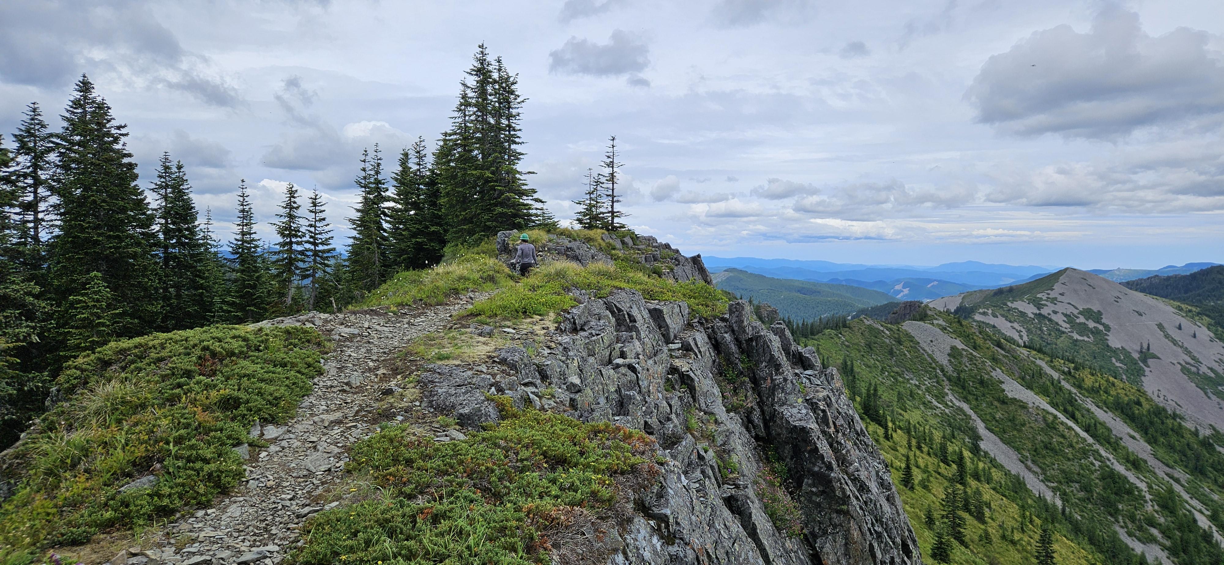 A WTA volunteer is dwarfed by the scenery around her on Bluff Mountain trail.
