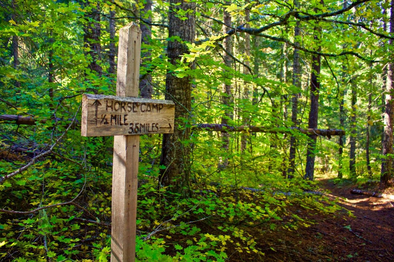 A sign along the Buck Creek Trail. Photo by Elementalll. 