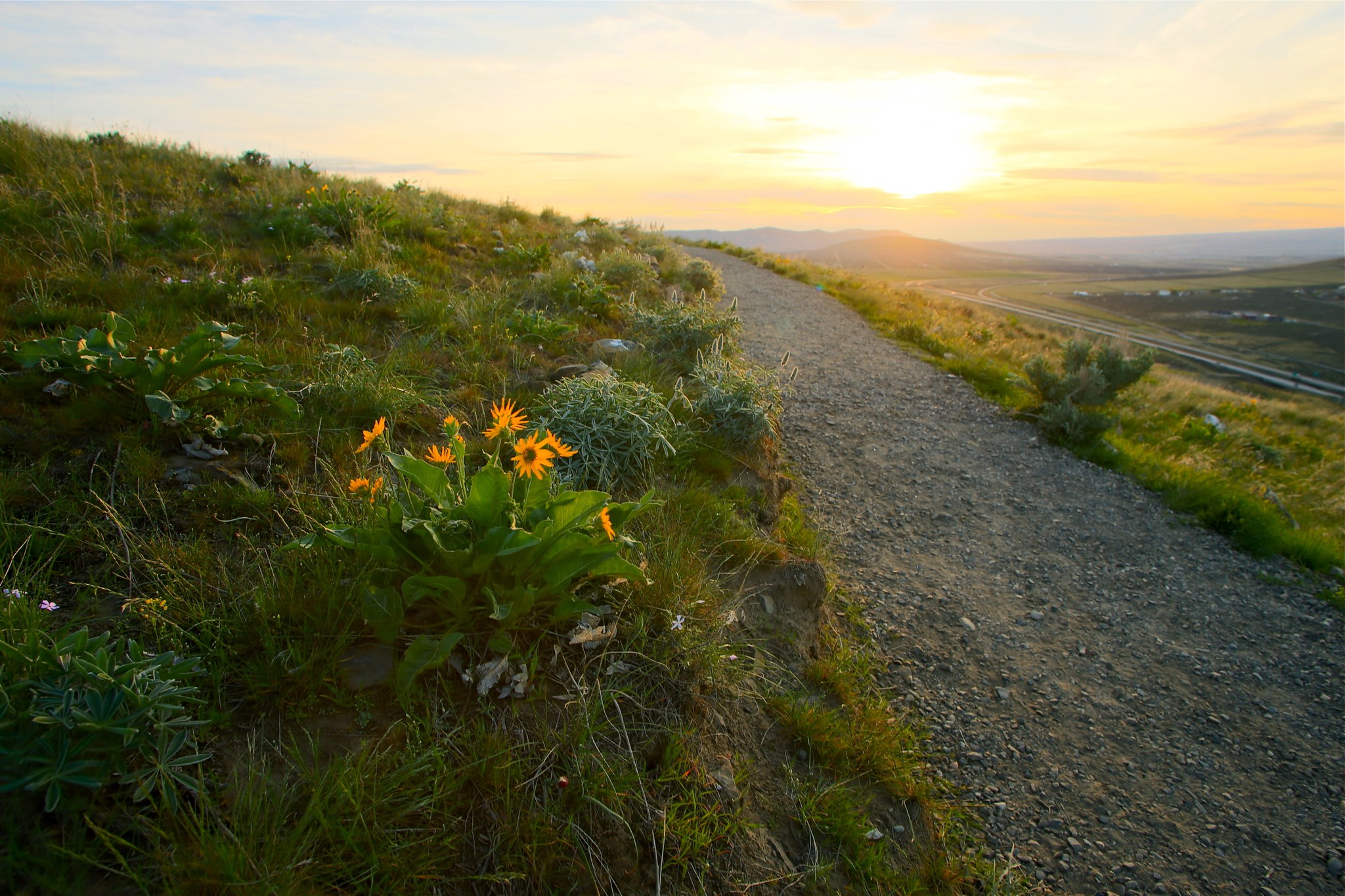 Badger Mountain by Dustin Thomas.jpeg