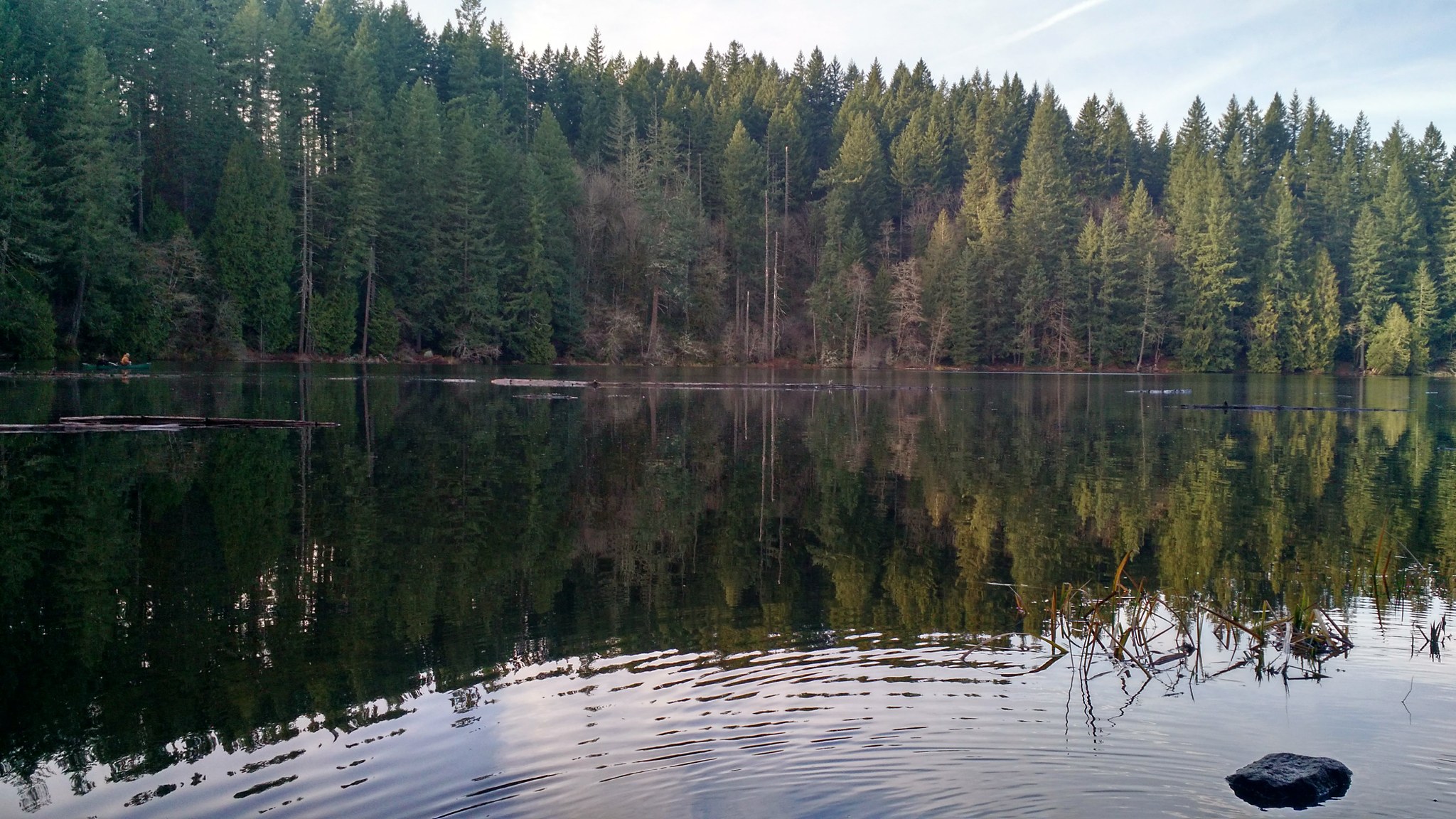 battleground sp_rosemarylp.jpeg battleground sp_rosemarylp.jpeg