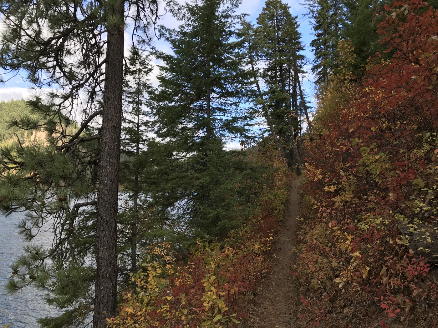 Fall colors surround the Bead Lake trail, the lake itself in the distance.