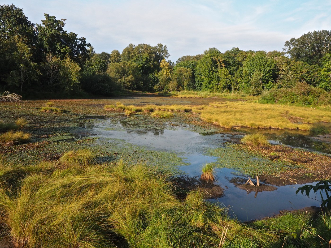 Billy Frank Jr. Nisqually National Wildlife Refuge. Photo by Bob and Barb.jpeg Billy Frank Jr. Nisqually National Wildlife Refuge. Photo by Bob and Barb.jpeg
