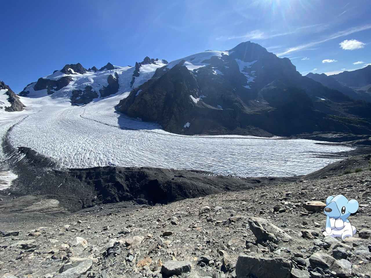 Cubchoo sitting on the ground near Blue Glacier on the Hoh River Trail. Photo by Ash99.