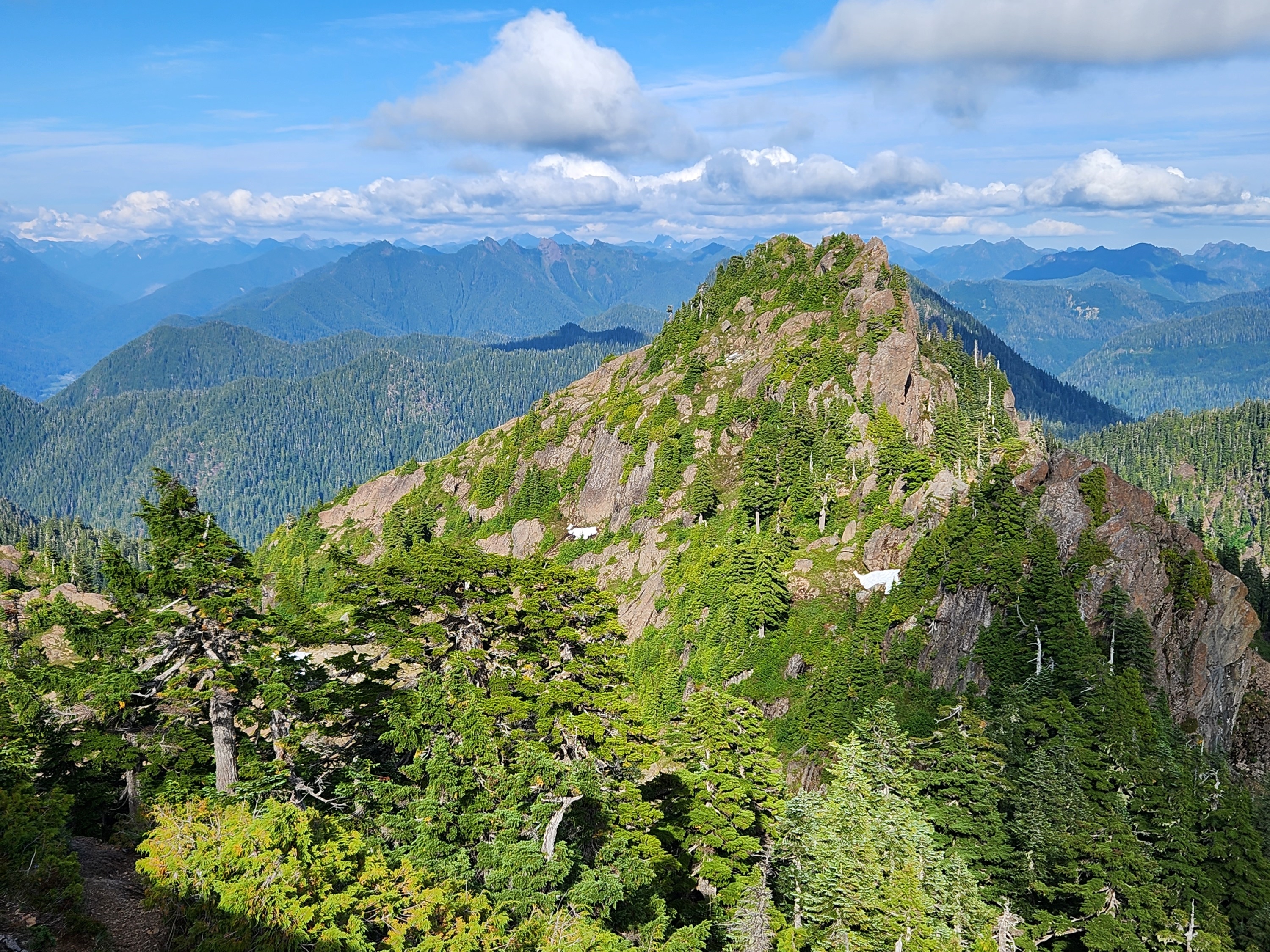 View from the top of Colonel Bob Peak of Lake Quinault and clouds over the landscape. Photo by hifiandrew.
