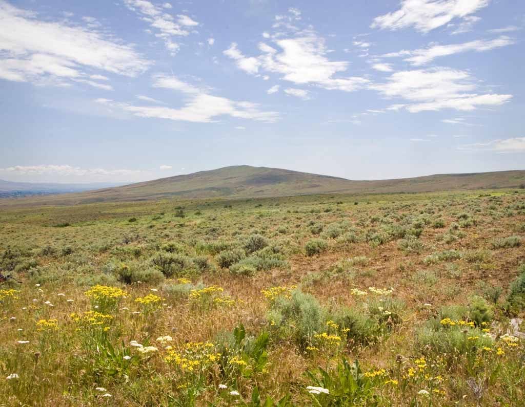 Cowiche Mountain. Photo by David Hagen..jpeg