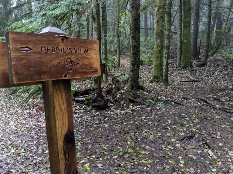 A wooden trail sign that says, "Debbie's View"