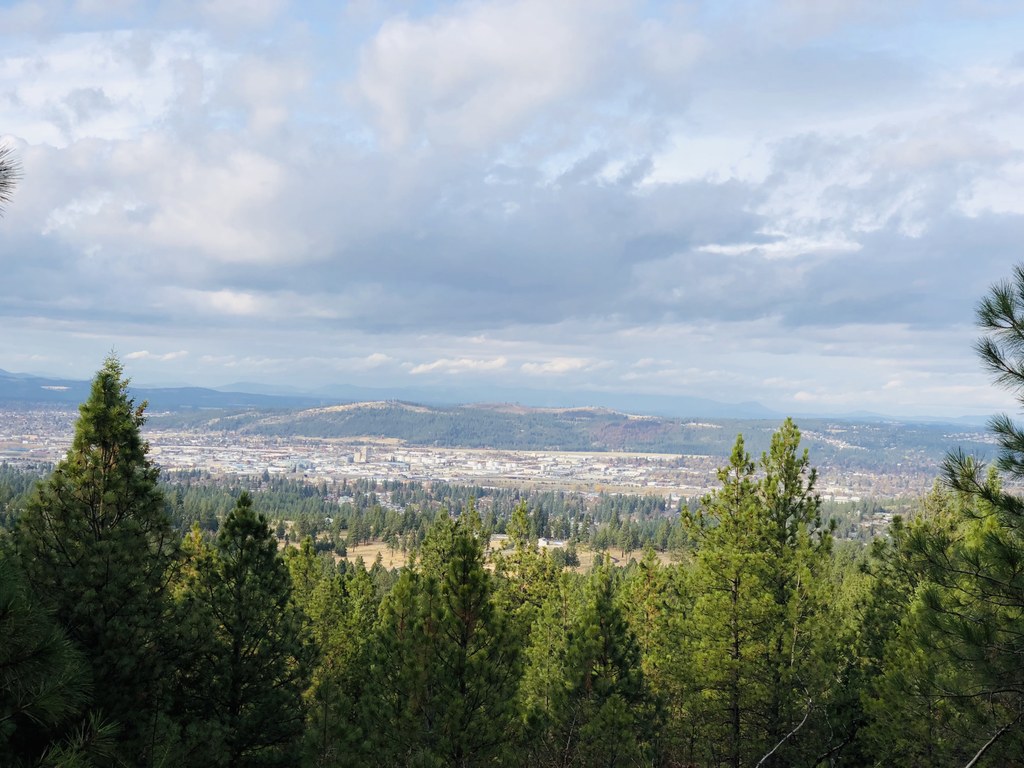 Dishman Hills Conservation Area-Glenrose Unit-11.3.2018-TrailKat.jpeg