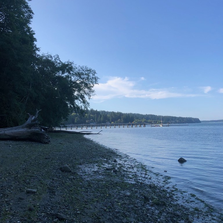 Illahee State Park beach. Photo by cathartes. 