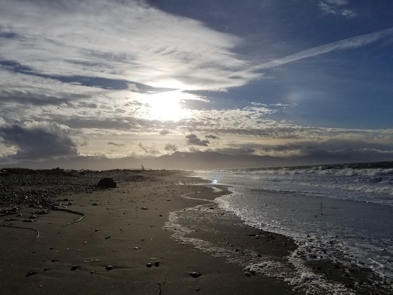 dungeness spit by trip reporter Eve.jpeg