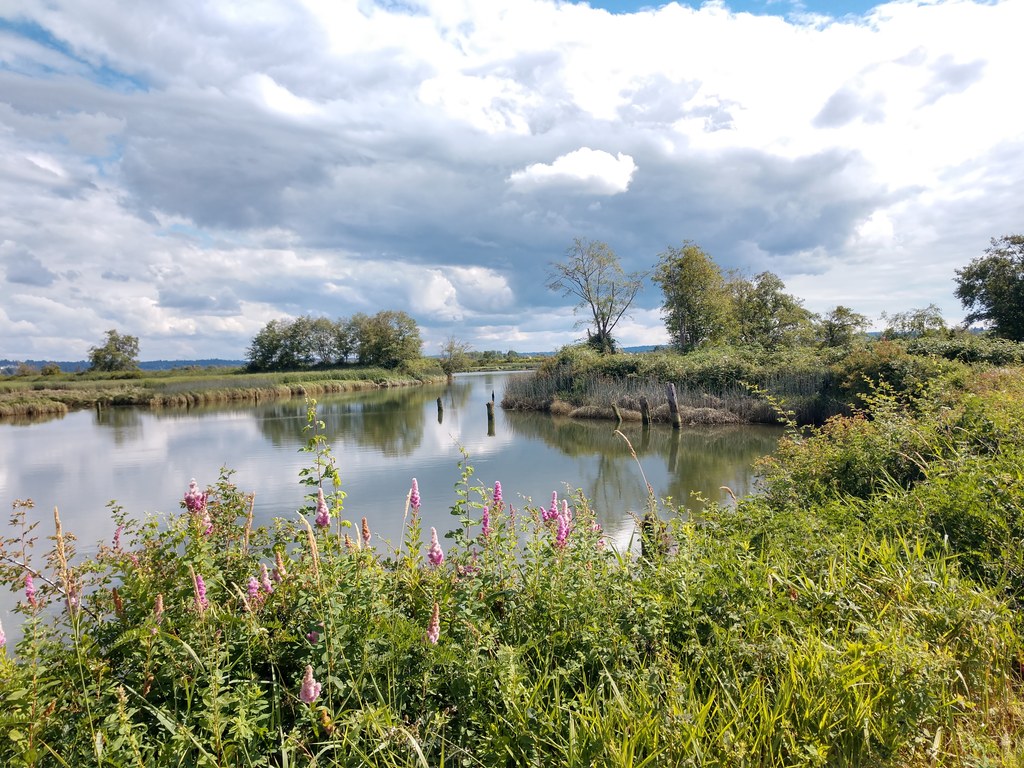 Ebey Waterfront Trail-7.12.2019-Mary T.jpeg Ebey Waterfront Trail-7.12.2019-Mary T.jpeg