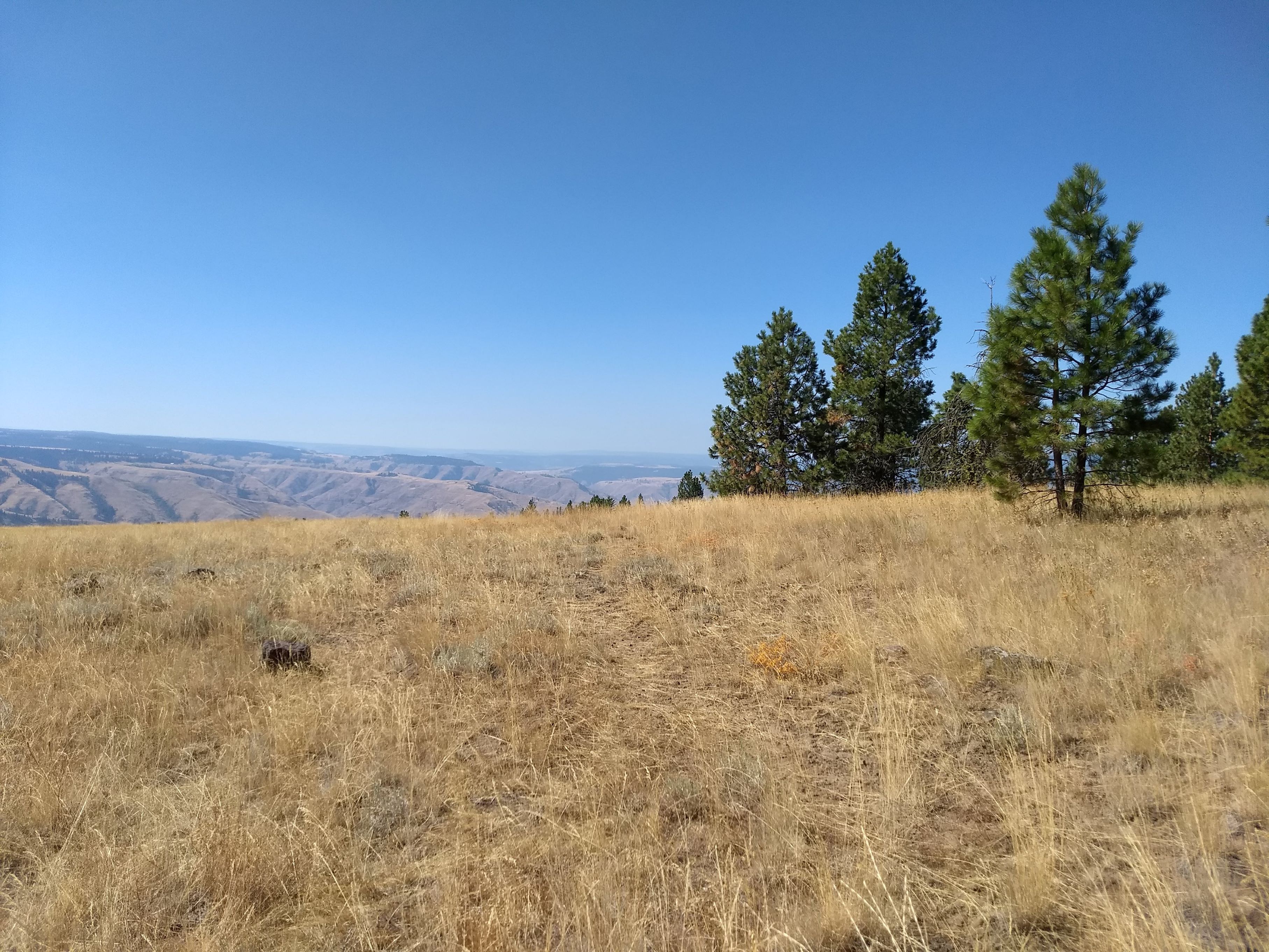 The trail on Puffer Butte at Field Springs State Park on a sunny day. Photo by camckenna.