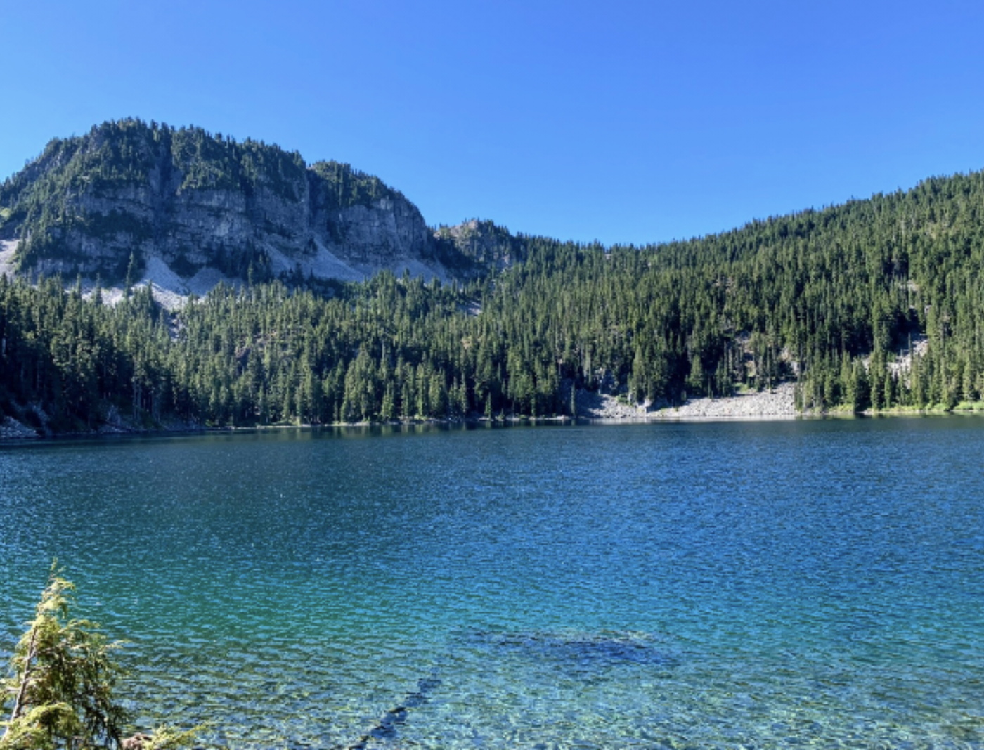 The waters of Fisher Lake