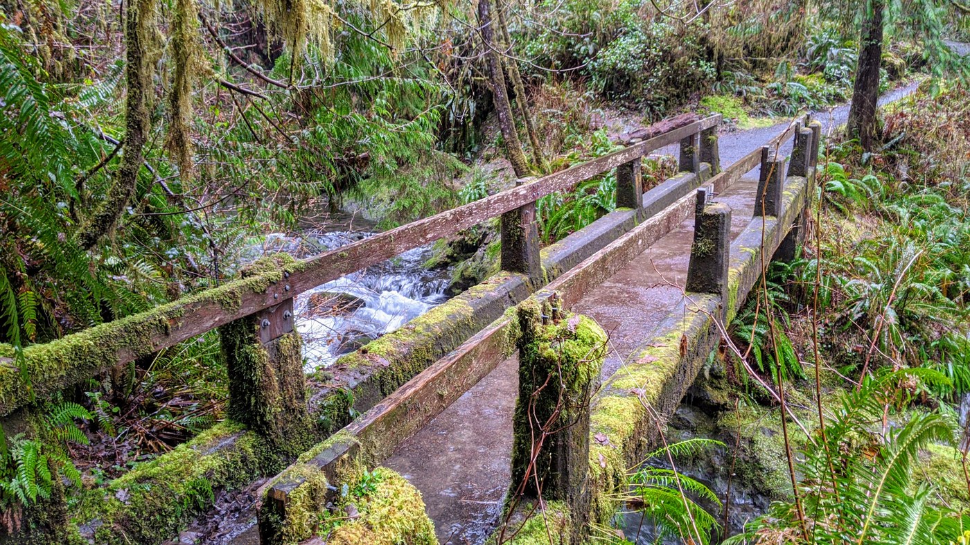 Footbridge over Willaby Creek. Photo by Eric Nagle. 