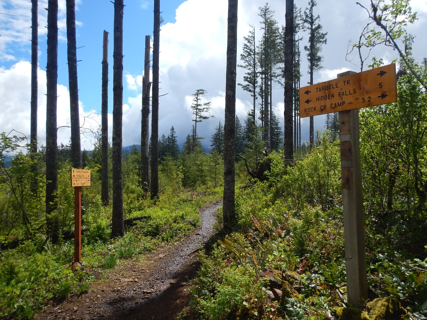 Good signage along the trail. Photo by Anna Roth.