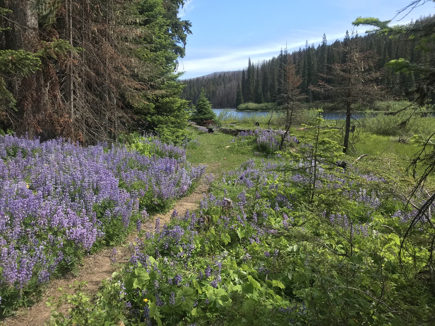 Greenwater and Echo Lakes. Photo by EnsembleFx.jpeg