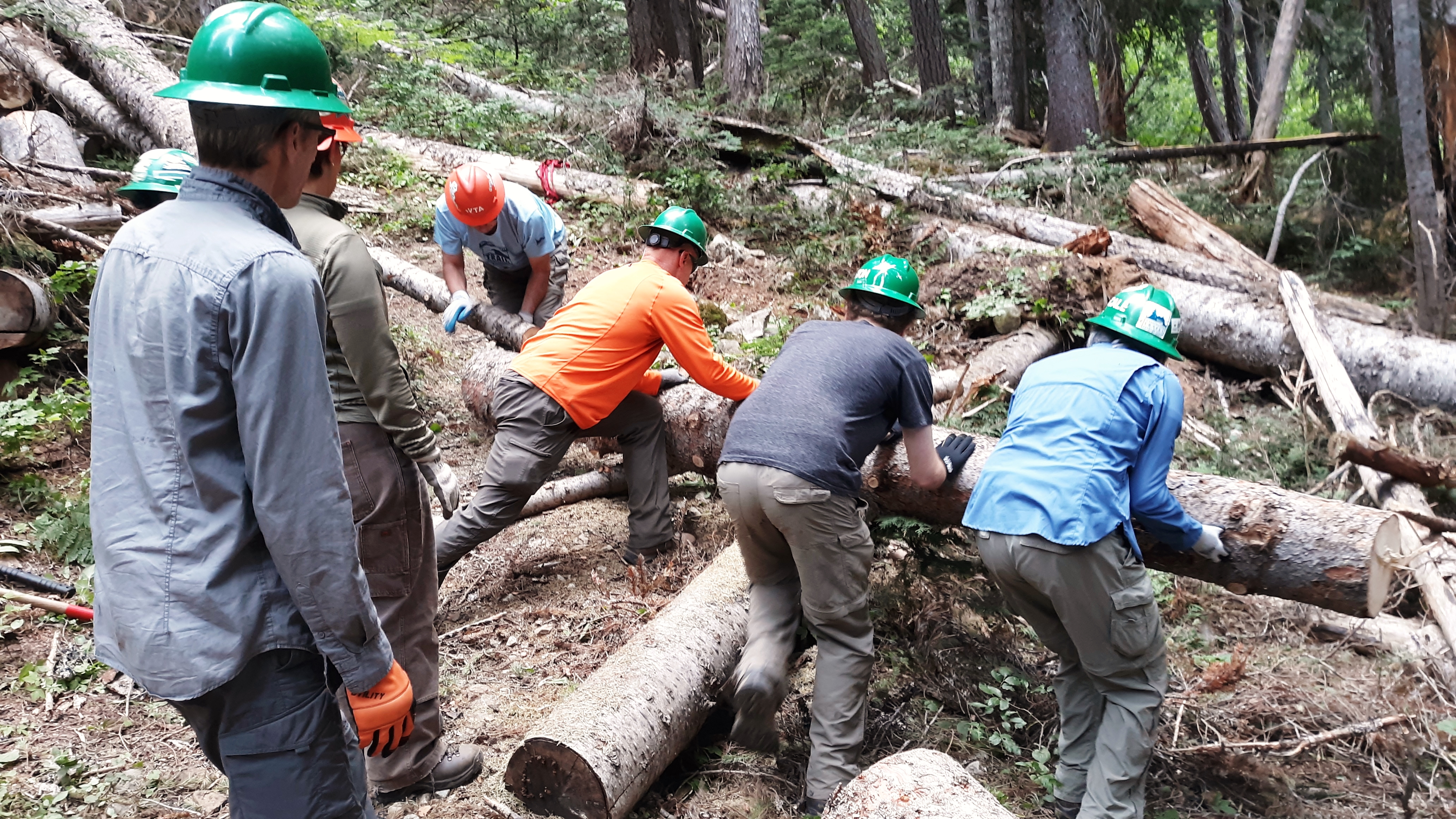 Backcountry response team trail work crew removing logs from the Hyas Lake trail. Photo by Lisa Black.