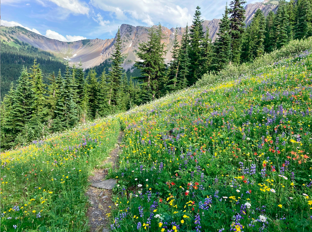 Jackita Ridge. Photo by dca2dc.png