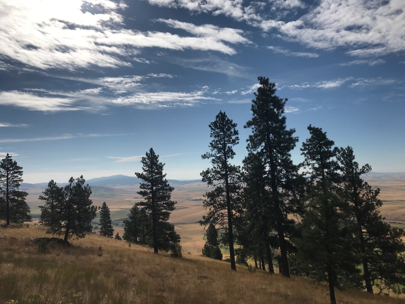 Kamiak Butte. Photo by Xavier McP.jpeg