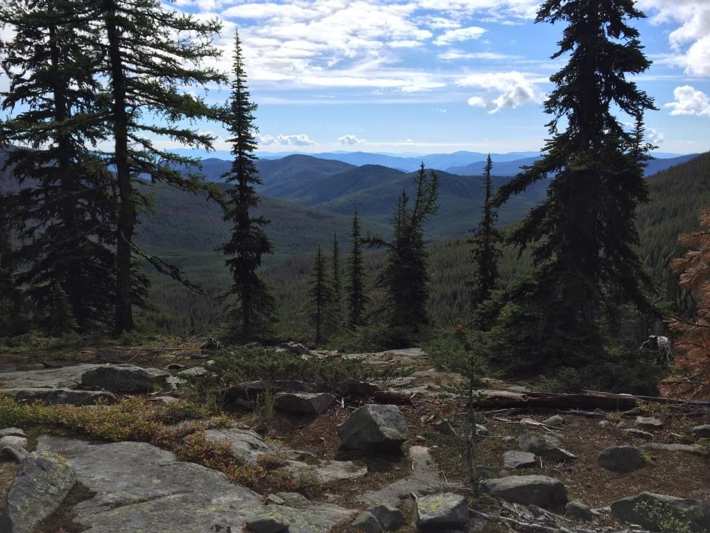 Kettle Crest Trail. Photo by RangerP.jpeg