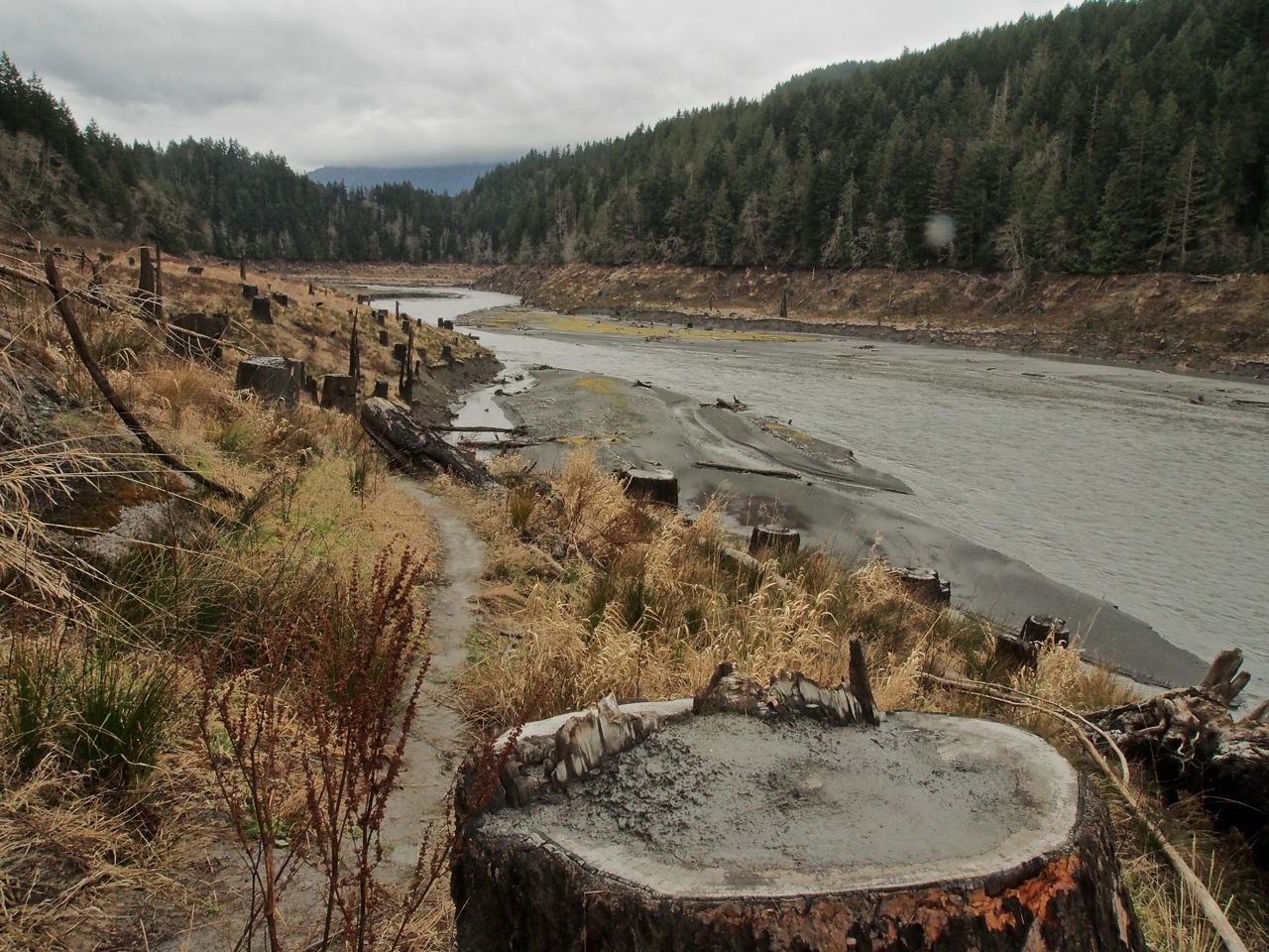 Lake Aldwell Overlook. Photo by Bob and Barb.jpeg Lake Aldwell Overlook. Photo by Bob and Barb.jpeg