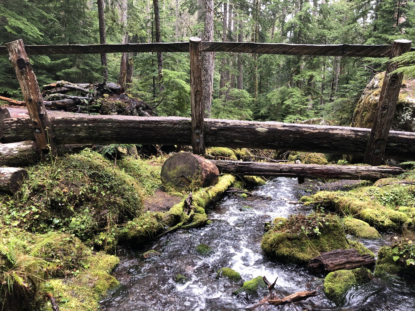 Mossy bridge over a creek on the Lake Angeles Trail. Photo by bzimmer. 