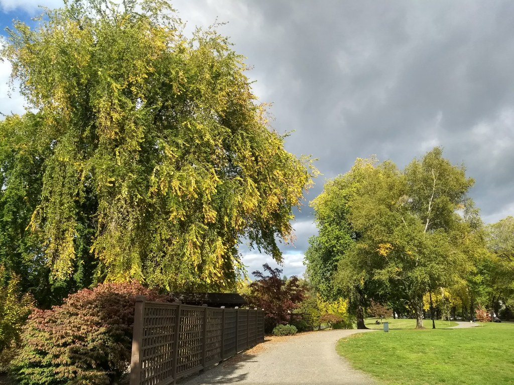 Lake Sacajawea-9.23.2018-nwroth.jpeg Lake Sacajawea-9.23.2018-nwroth.jpeg