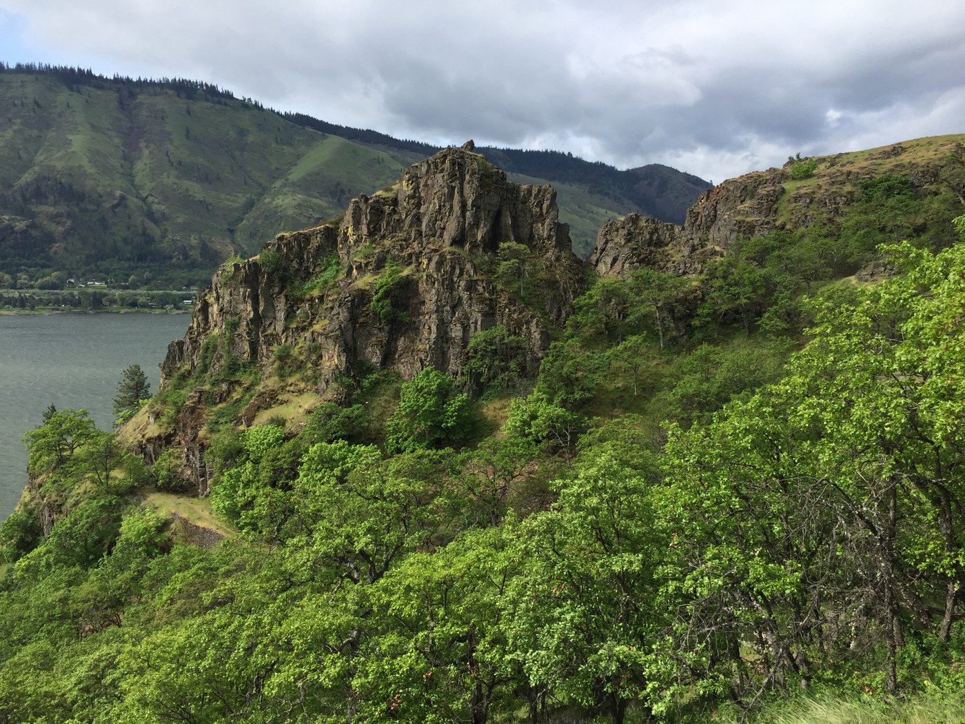 Fresh spring greenery along the Lyle Cherry Orchard trail with views over the wider Columbia River.