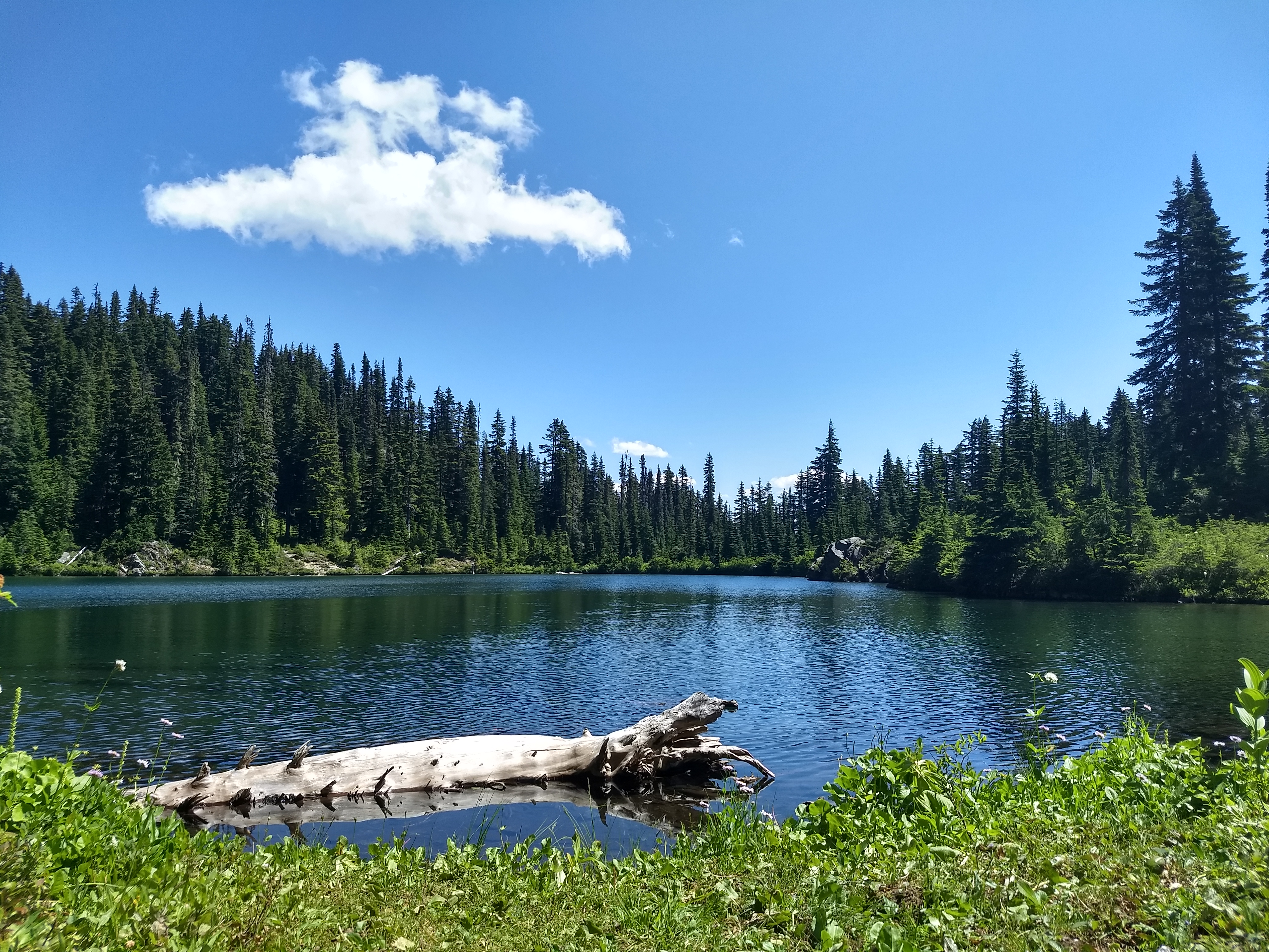 Margaret Lake in July by trailtails