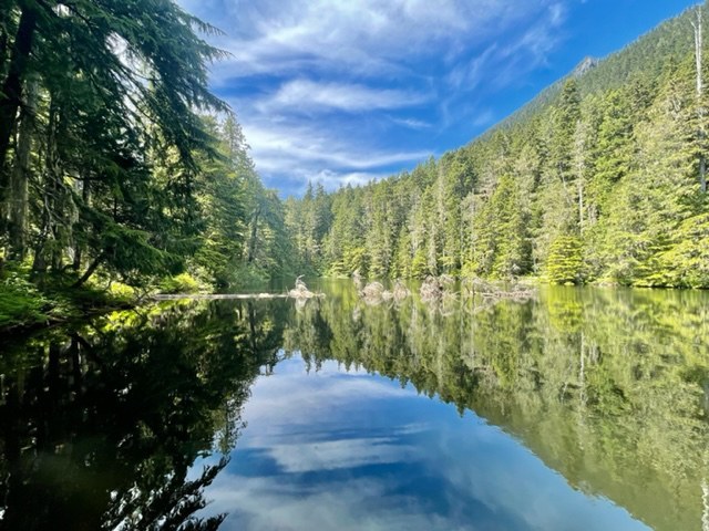 A glassy lake lined with evergreen trees. The sky is bright blue with a few wispy clouds. 