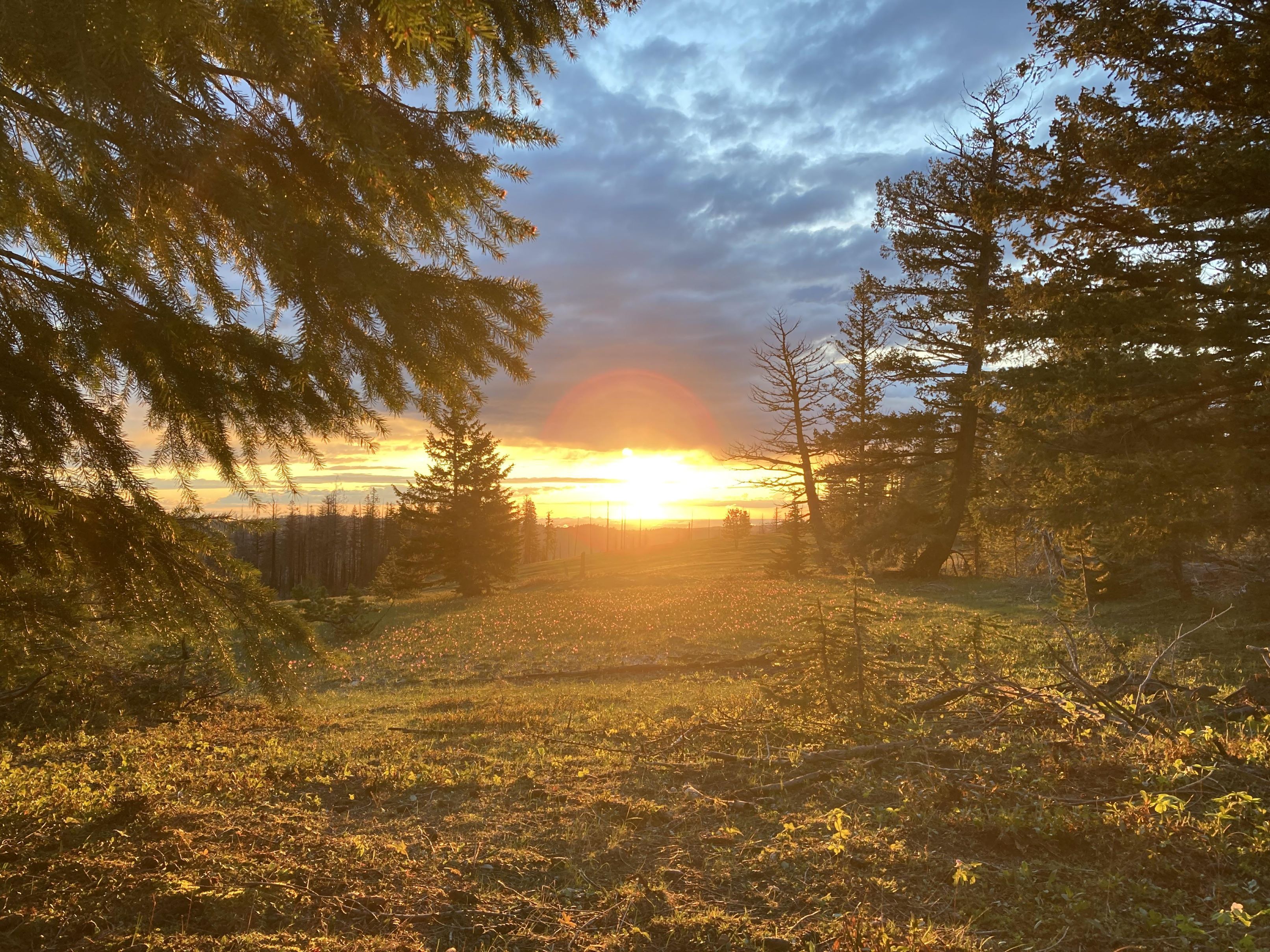 Sunset on the Mount Misery trail. Photo by Chris Hoffer.
