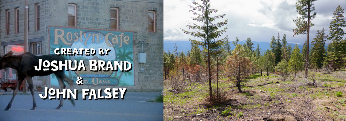 "Roslyn's Cafe" in the opening credits of Northern Exposure, and view from a hike in Roslyn Urban Forest. Photo by ejain. Mural on Roslyn Cafe (with an added apostrophe-s) in the opening credits of Northern Exposure, and a view from the 4th of July trail in Roslyn Urban Forest. Photo by ejain.