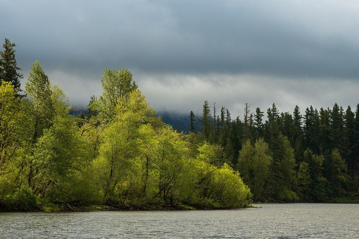 notle state park_marley.jpeg notle state park_marley.jpeg