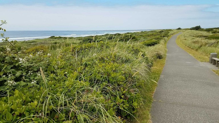 Paved trail along the coast. Photo by Lincoln4. Paved trail along the coast. Photo by Lincoln4.