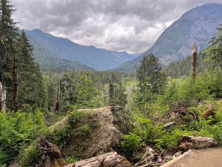 A river valley view with a large waterway, heavy gray clouds and evergreen trees. 