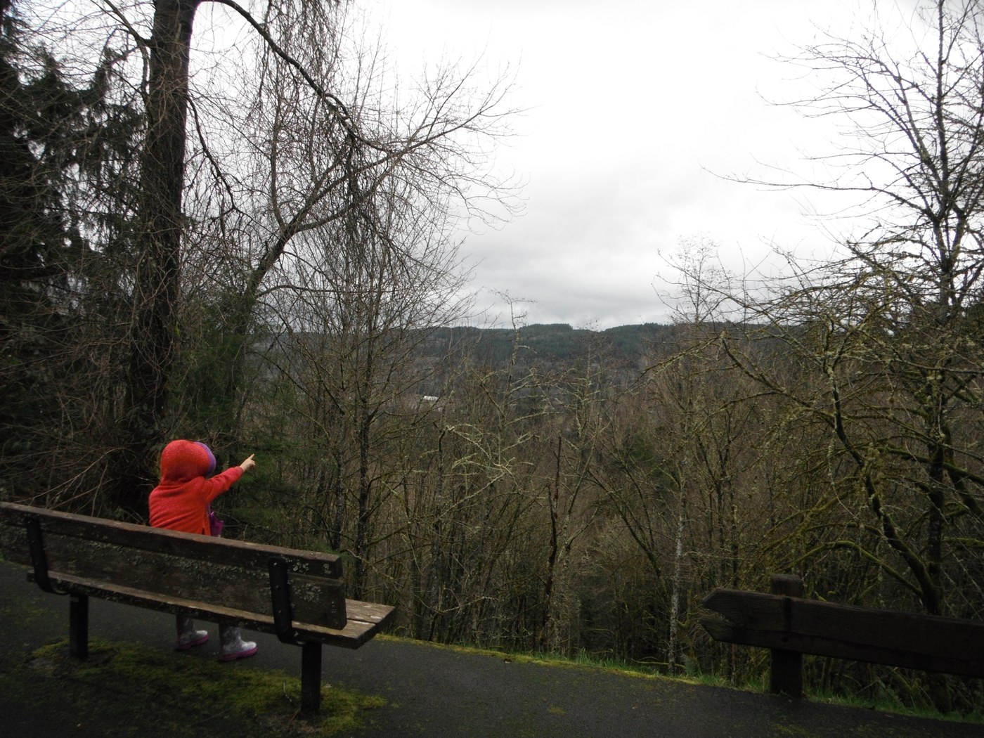 Preston-Snoqualmie Trail. Photo by Ups n Downs.jpeg Preston-Snoqualmie Trail. Photo by Ups n Downs.jpeg
